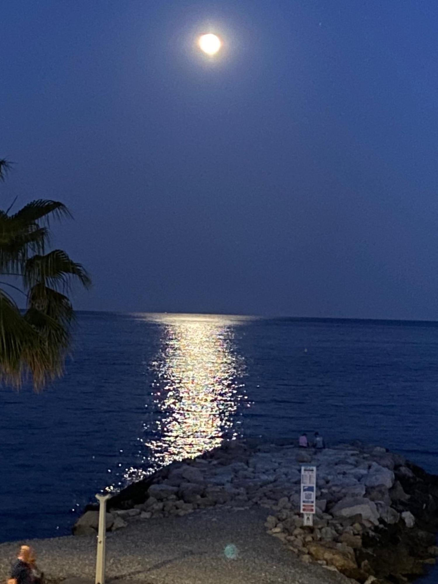 O Phare Du Cros Lägenhet Cagnes-sur-Mer Exteriör bild